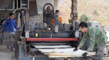 بأسلوب ليان سون.. نتائج تطبيق نماذج التعبئة الجماهيرية الماهرة في المنطقة